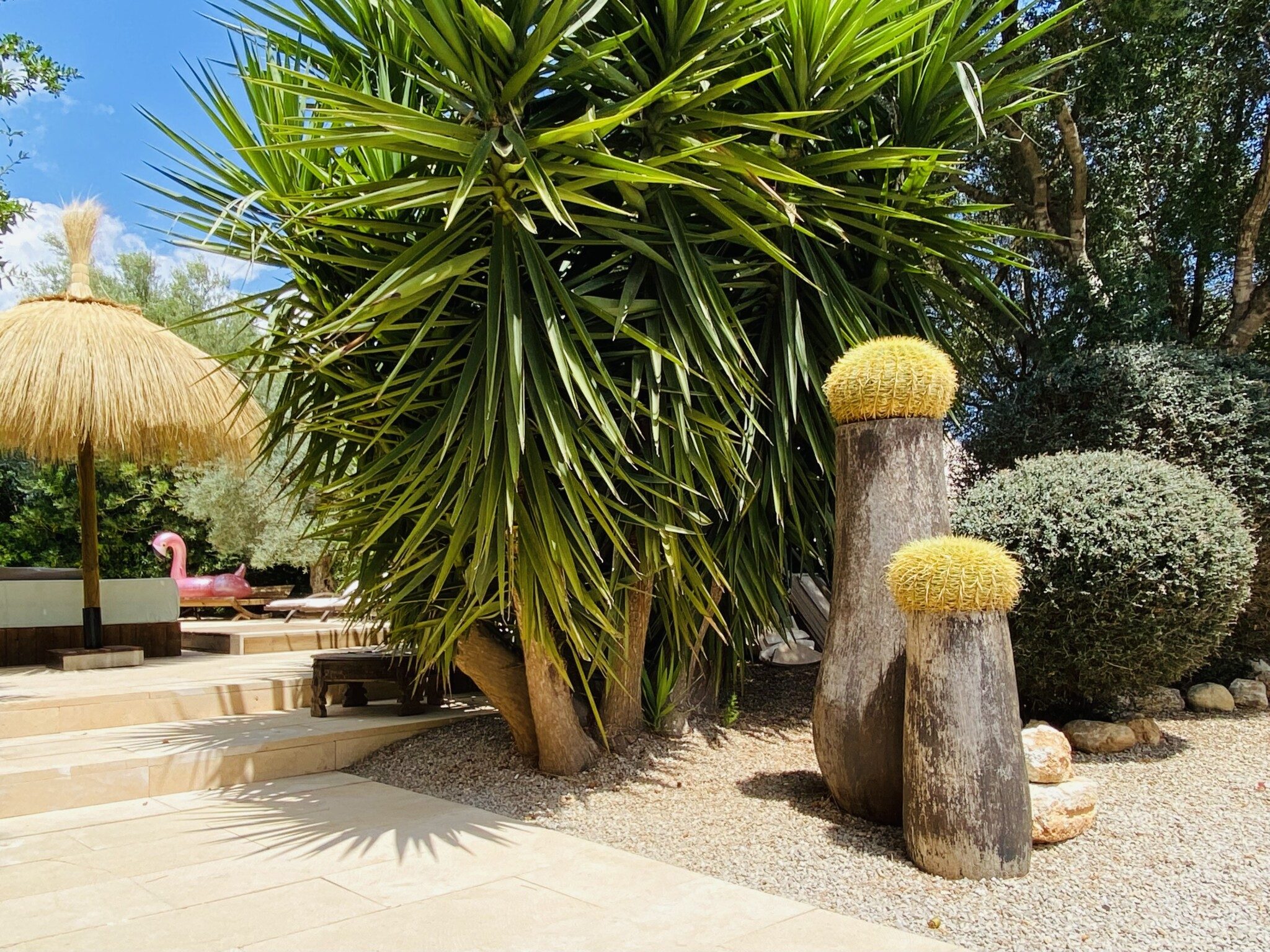 finca rustica shooting location mallorca cactus