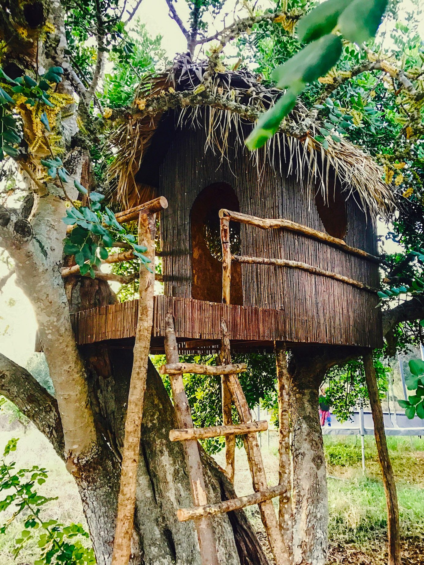 finca rustica shooting location mallorca tree house