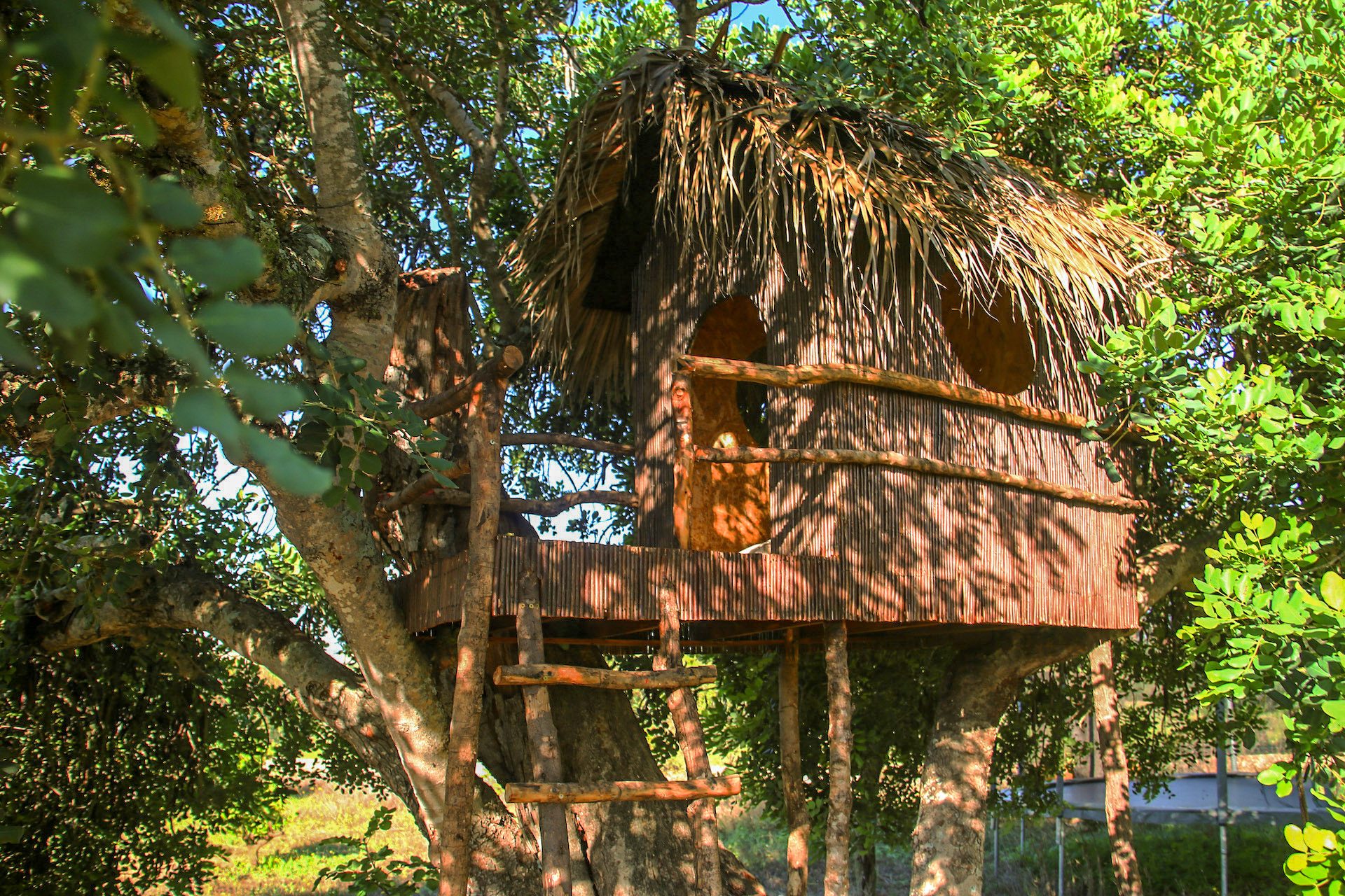 finca rustica shooting location mallorca treehouse1