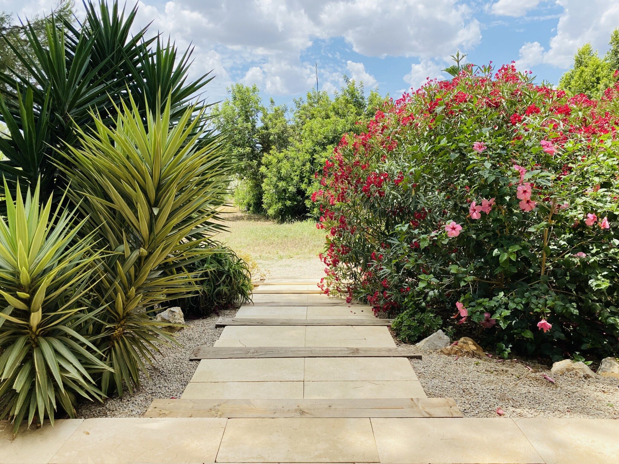 finca rustica shooting location mallorca garden hibiscus