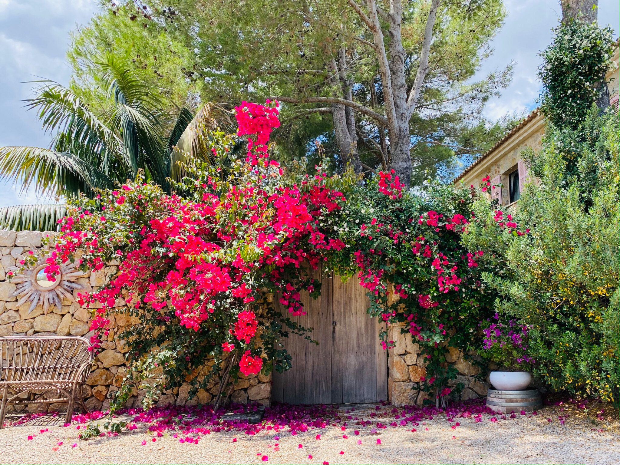 finca shooting location mallorca garden bourgainvillea