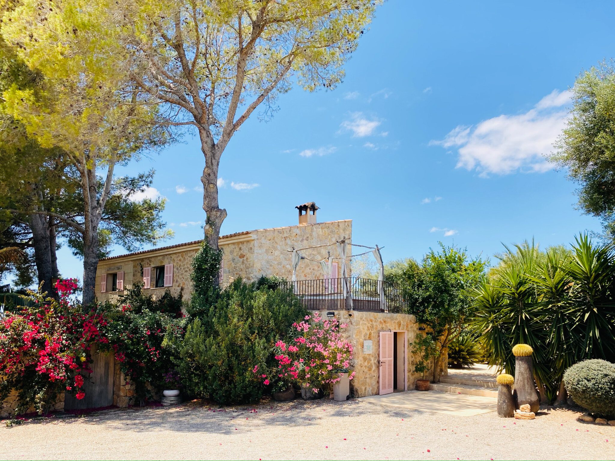 finca shooting location mallorca pine trees