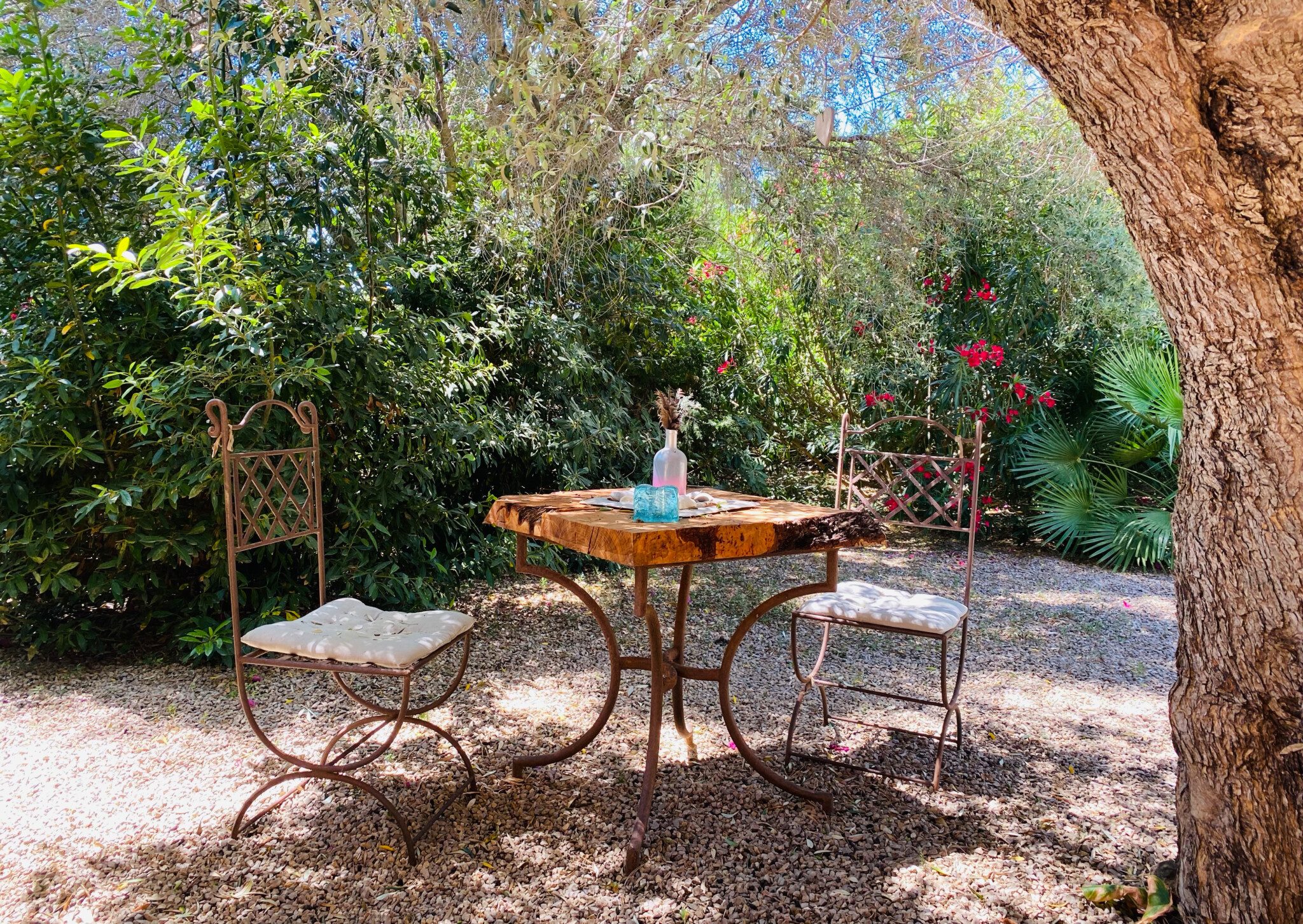 finca shooting location mallorca wooden table olive tree
