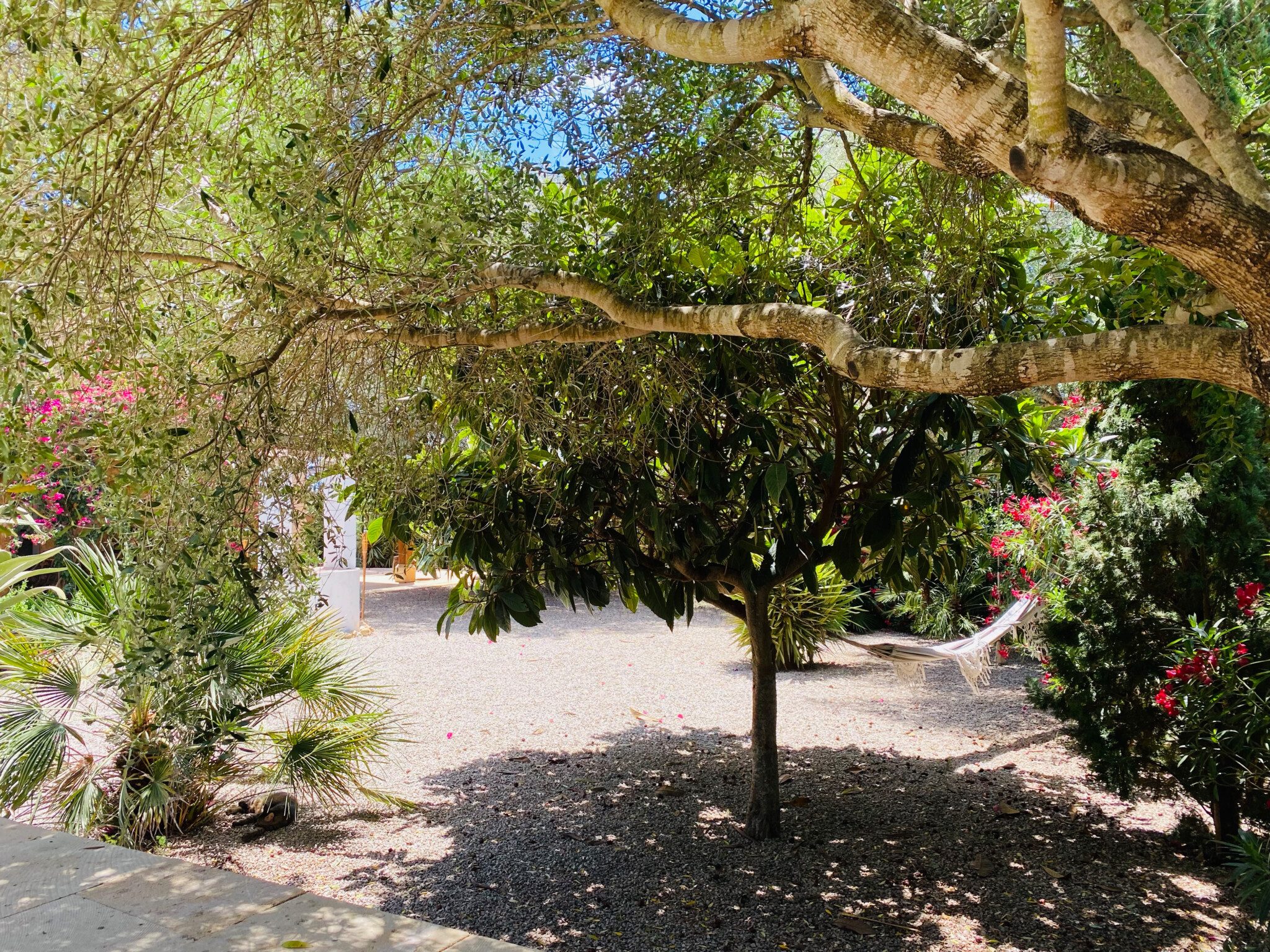 finca shooting location mallorca garden view