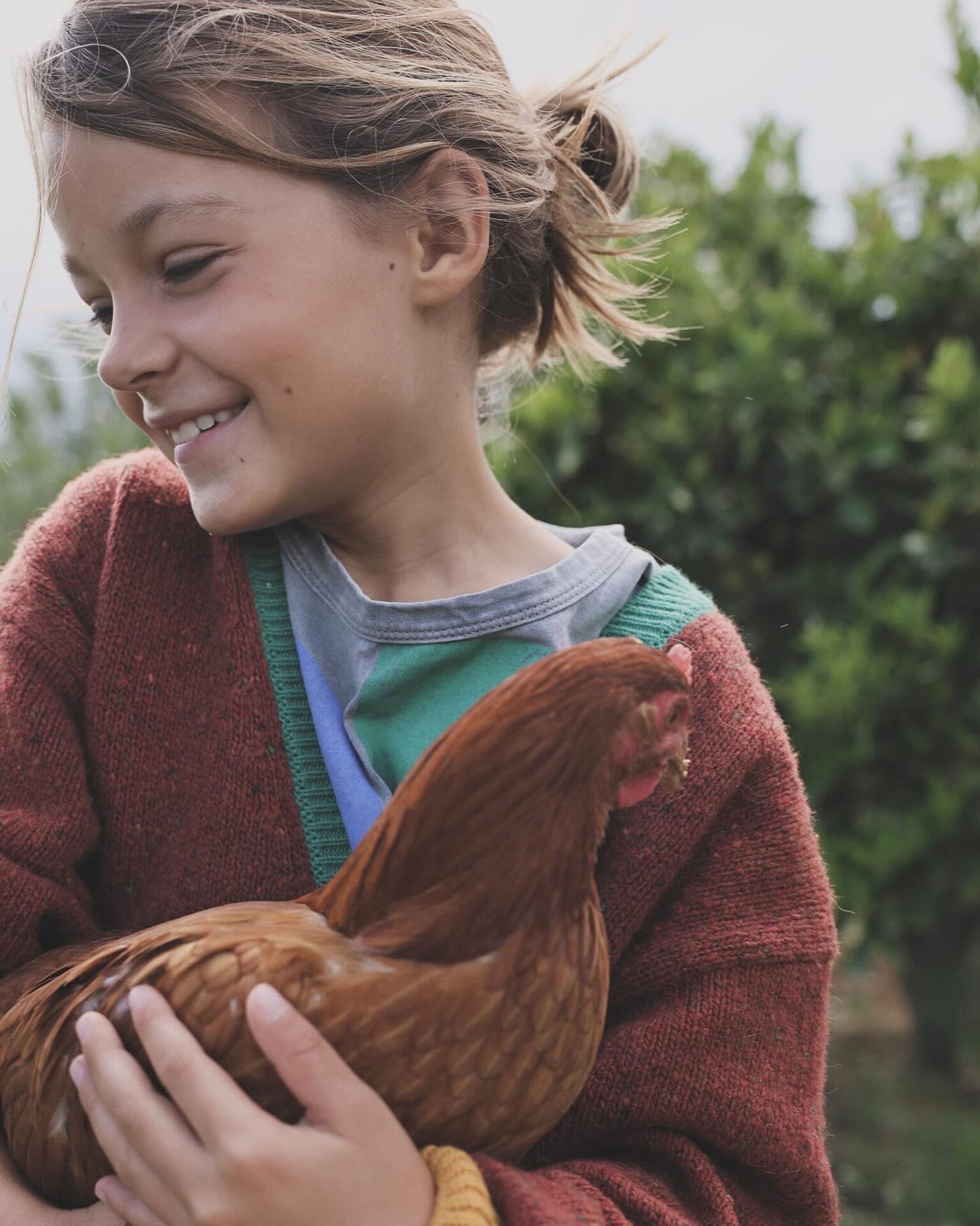 nature child chicken farm life